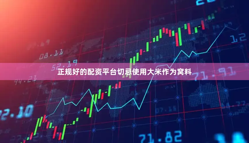 正规好的配资平台切忌使用大米作为窝料
